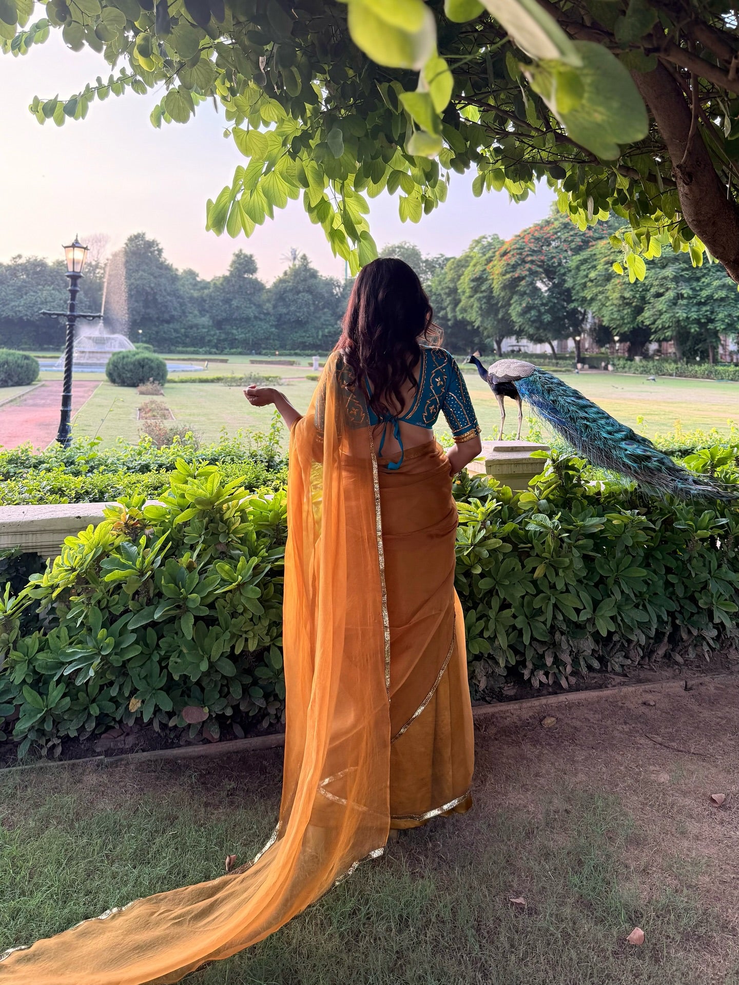 Bhoori Lampi Saree