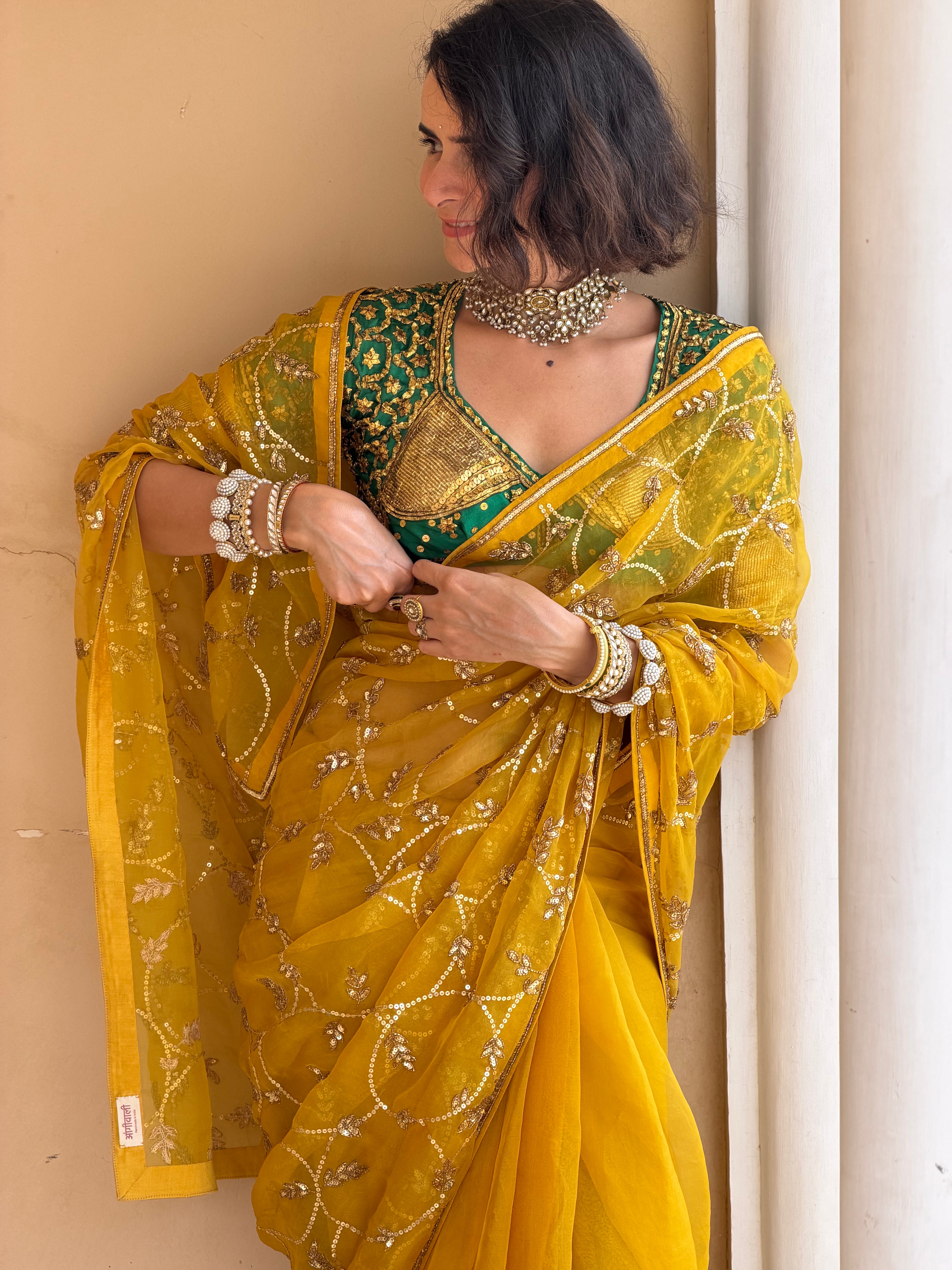 Circle Jaal Saree